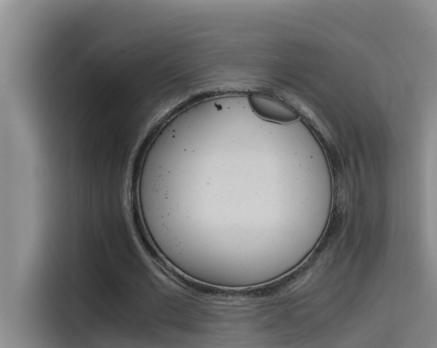 X0000115510677200911061003