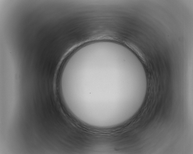 X0000115510680200911061003