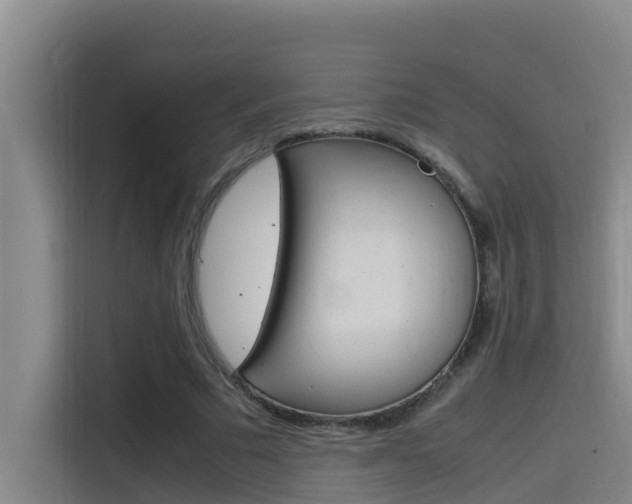 X0000115510681200911061003
