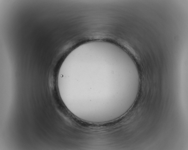 X0000115510683200911061003
