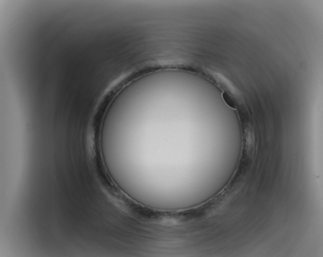 X0000115510684200911061003