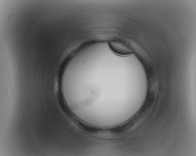 X0000115510685200911061003
