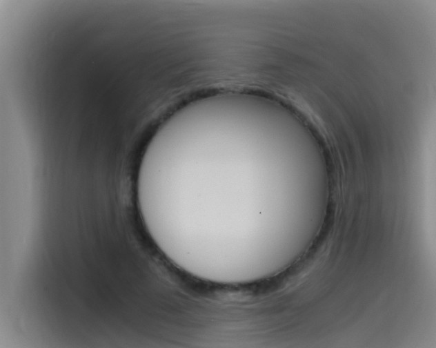 X0000115510689200911061003