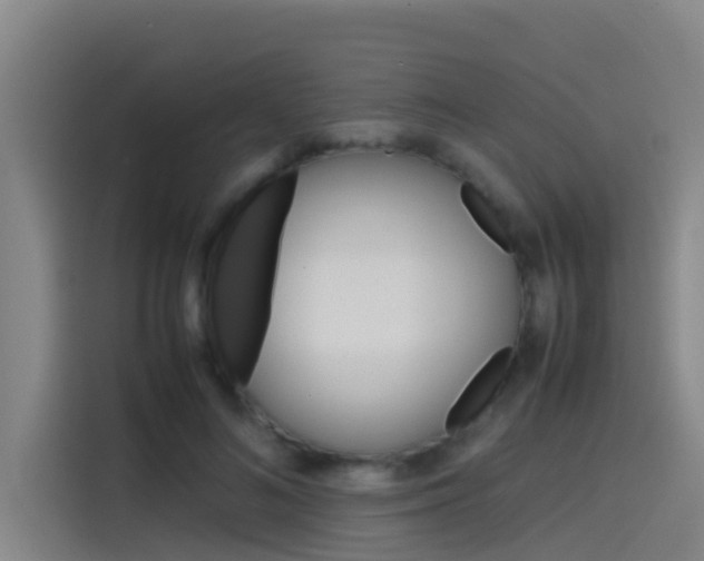 X0000115510692200911061003