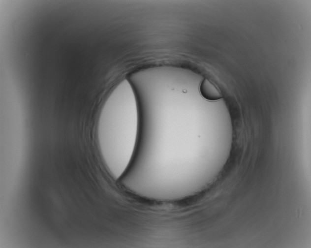 X0000115510695200911061003