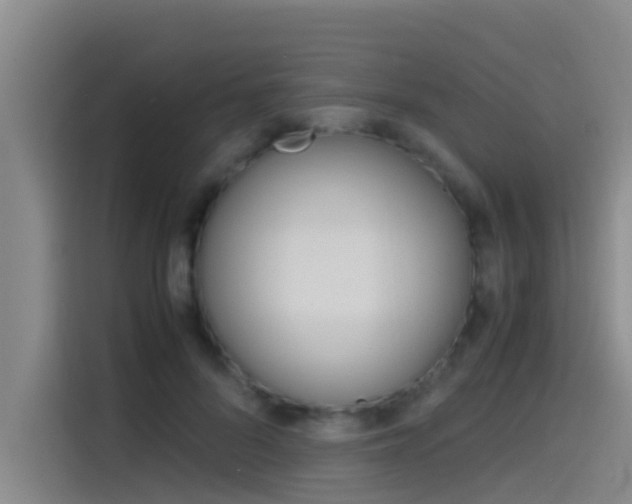 X0000115510696200911061003
