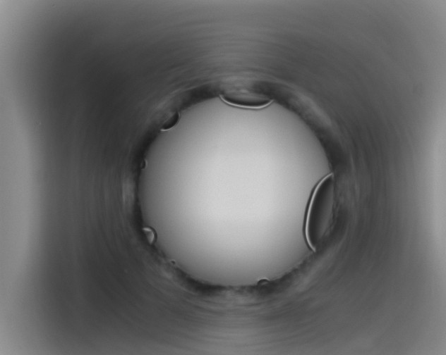X0000115510697200911061003