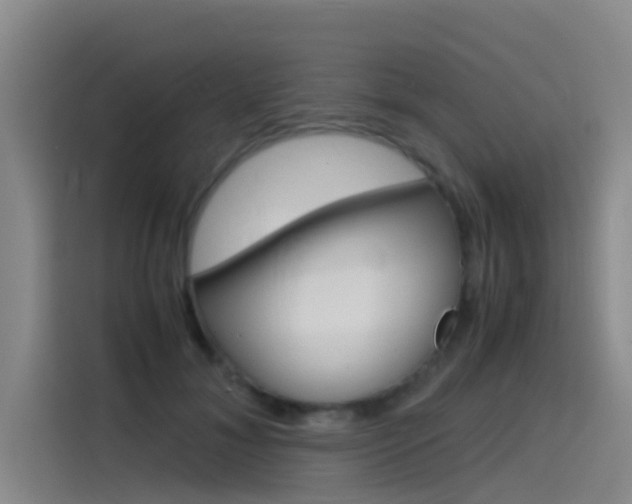 X0000115510700200911061003