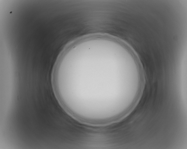 X0000115510705200911061003