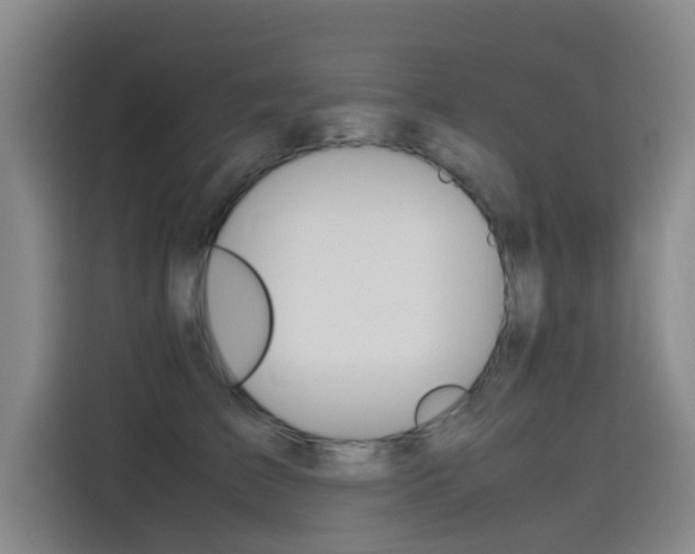 X0000115510709200911061003
