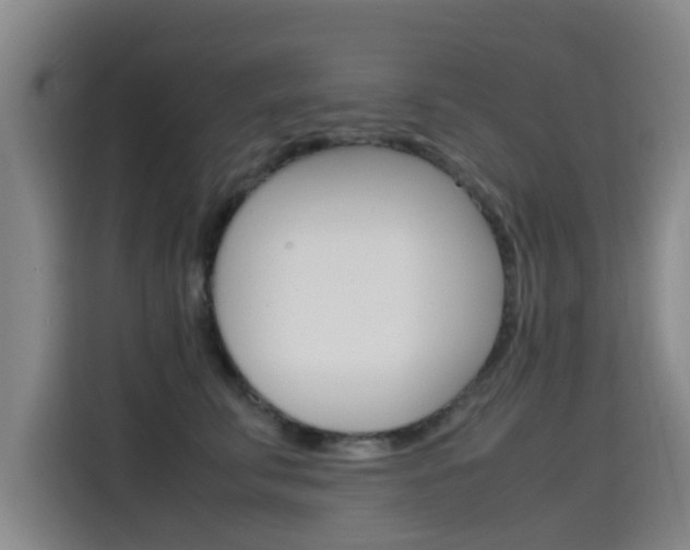 X0000115510711200911061003