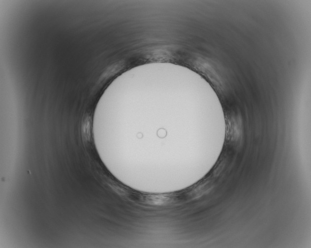 X0000115510717200911061003