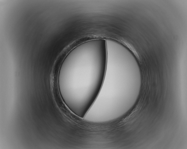 X0000115510722200911061002