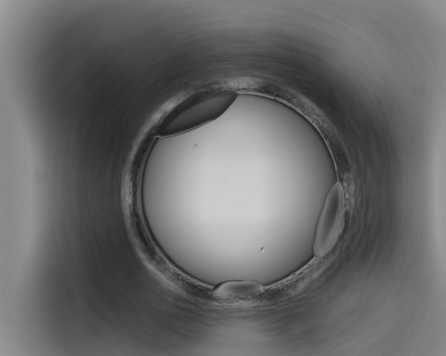 X0000115510726200911061002