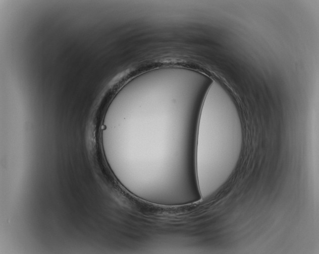 X0000115510727200911061002