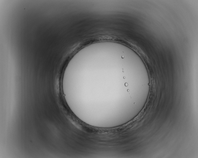X0000115510729200911061002