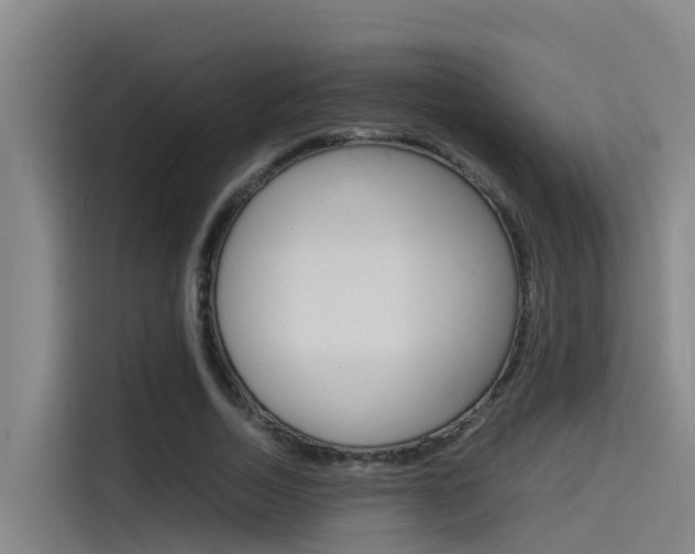 X0000115510730200911061002