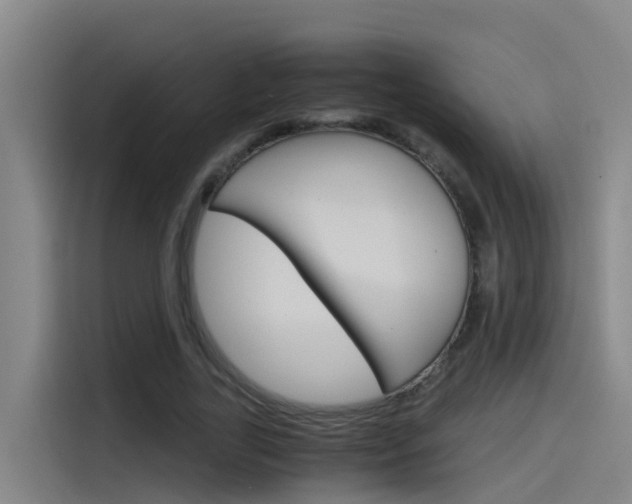 X0000115510731200911061002