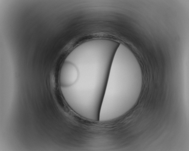 X0000115510734200911061002