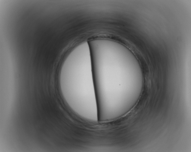 X0000115510735200911061002