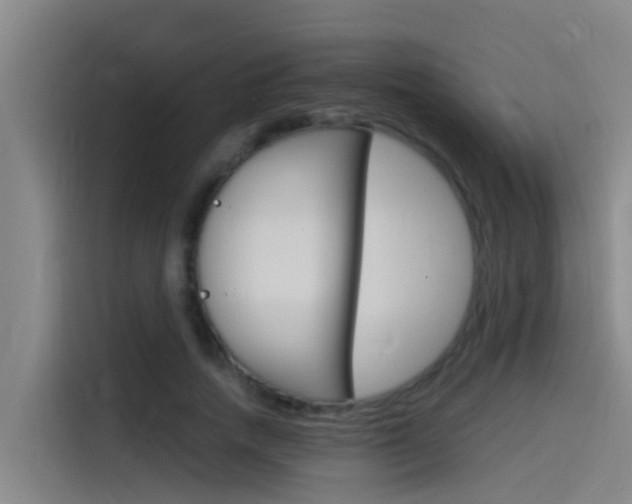 X0000115510738200911061002