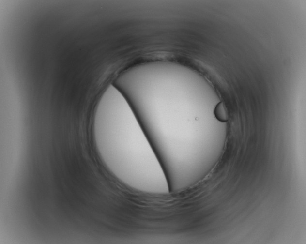 X0000115510739200911061002