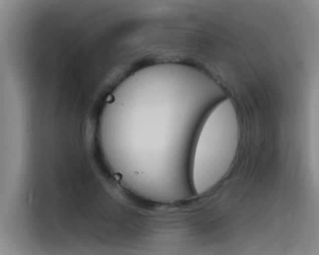 X0000115510742200911061002