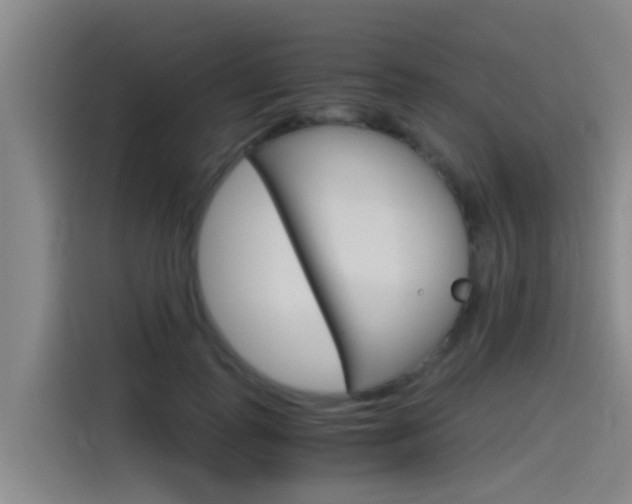 X0000115510747200911061002