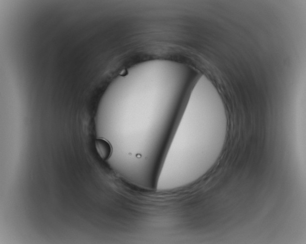 X0000115510750200911061002