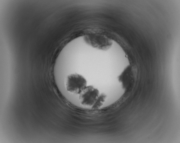 X0000115510757200911061003