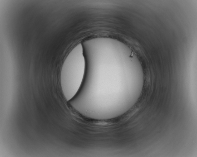 X0000115510759200911061003