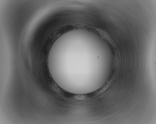 X0000115510762200911061003