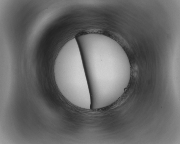 X0000115510763200911061003