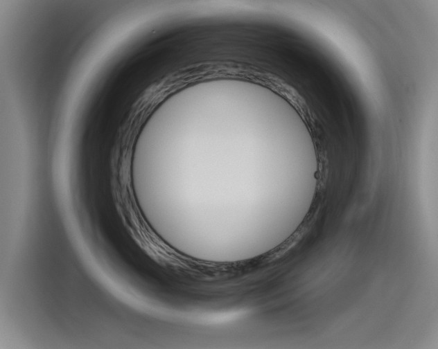 X0000115510765200911061003