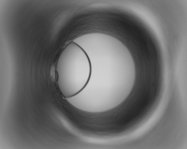 X0000115510766200911061003