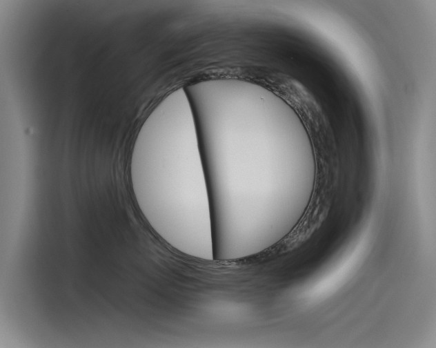 X0000115510767200911061003