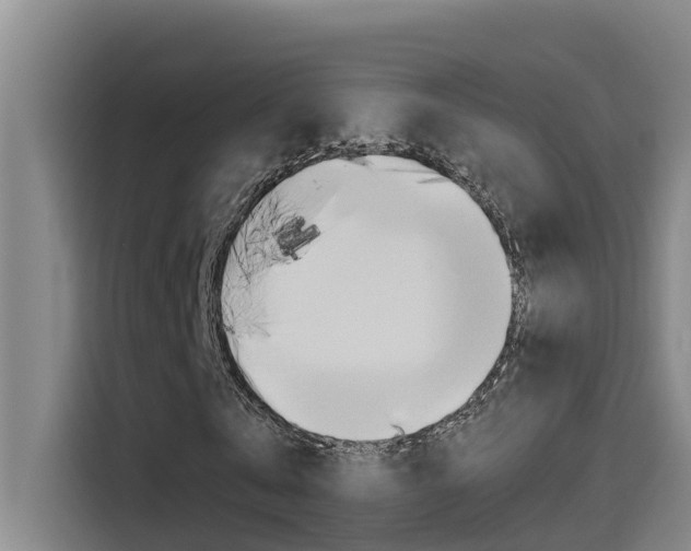 X0000115510769200911061002