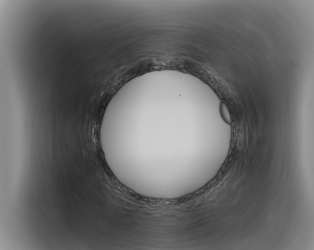 X0000115510770200911061002