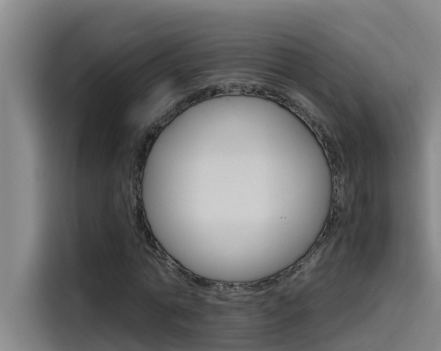 X0000115510774200911061002