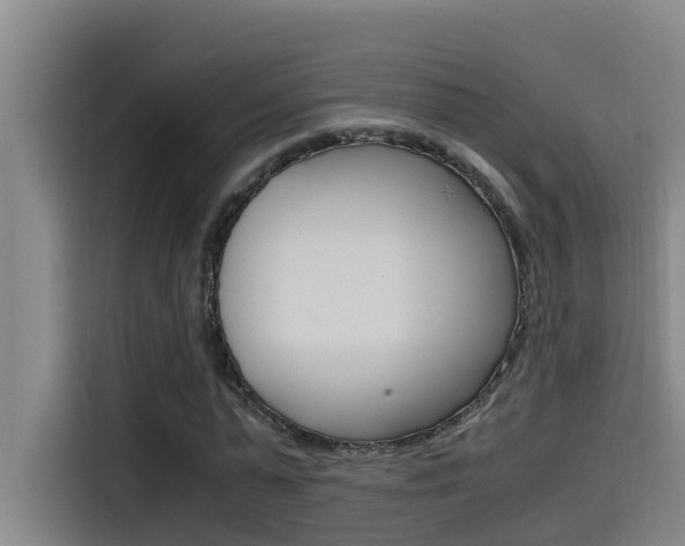 X0000115510775200911061002