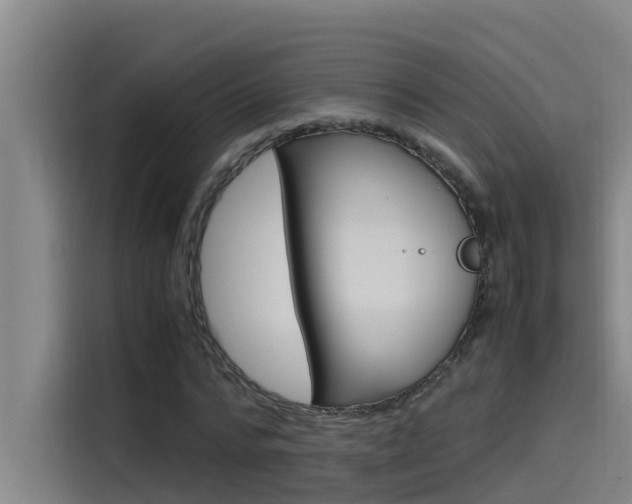 X0000115510776200911061002