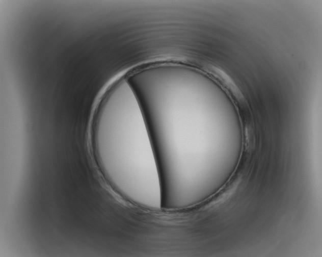 X0000115510780200911061002