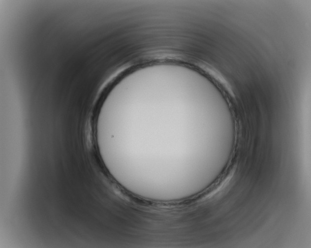 X0000115510782200911061002