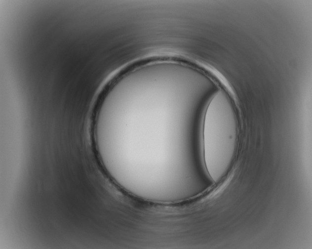 X0000115510783200911061002