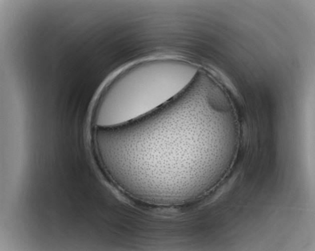 X0000115510784200911061002