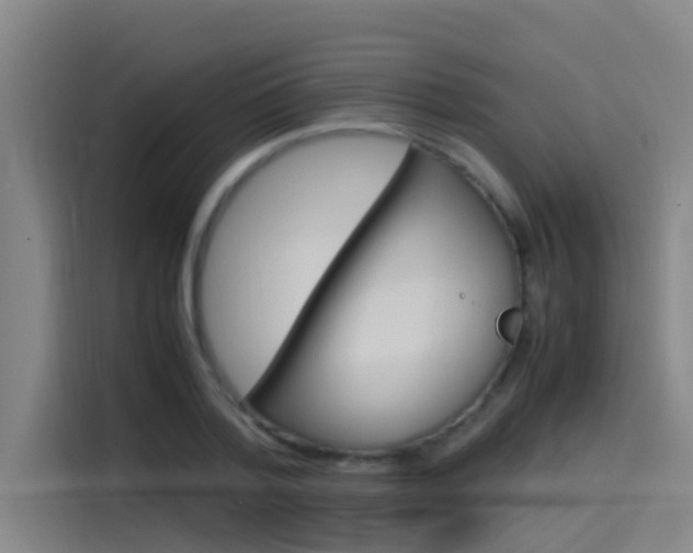 X0000115510788200911061002