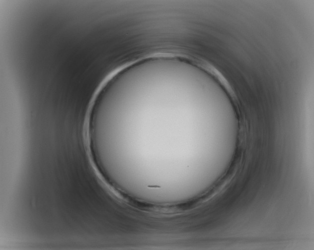 X0000115510795200911061002