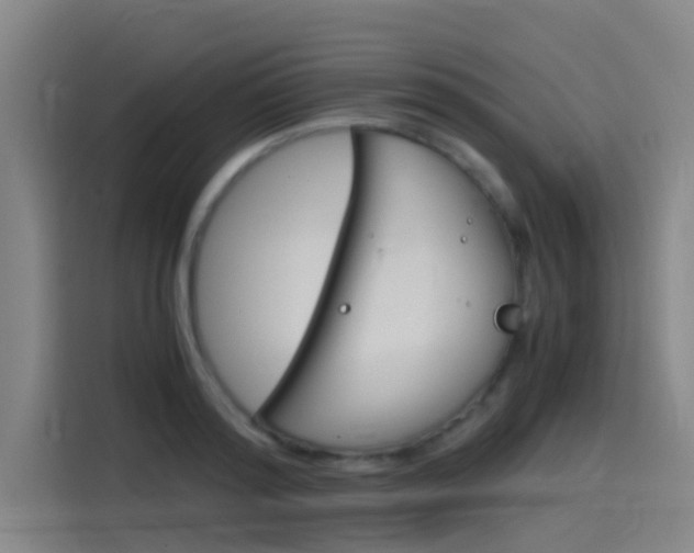 X0000115510796200911061002