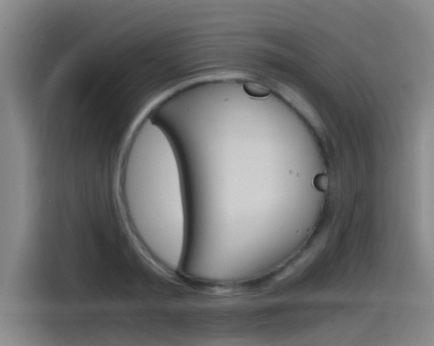 X0000115510797200911061002