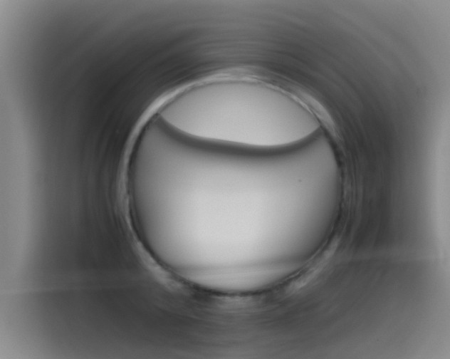 X0000115510800200911061002